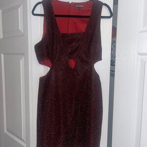 Red Glitter Express Dress